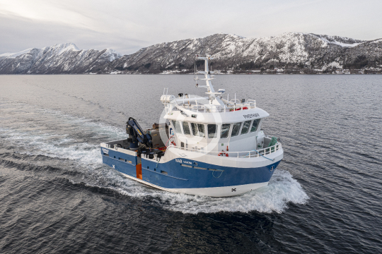 Frøyhav 567