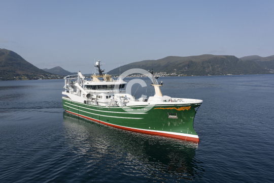 Hargun 825