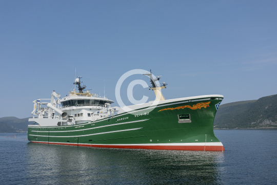 Hargun 851
