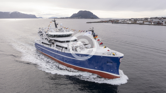 Havsnurp 120