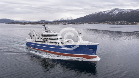 Havsnurp 318