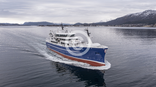 Havsnurp 327