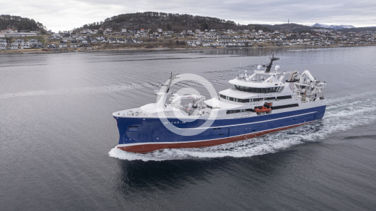 Havsnurp 329