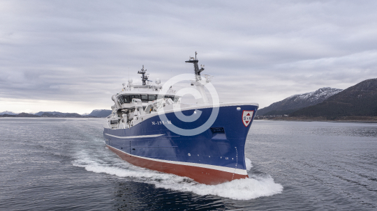 Havsnurp 338
