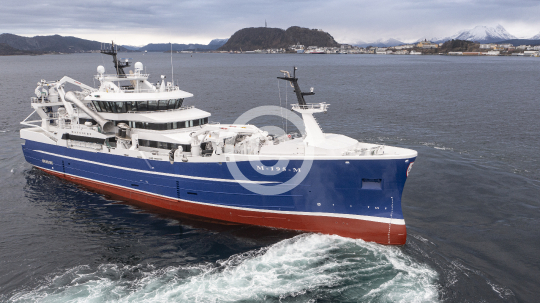 Havsnurp 364