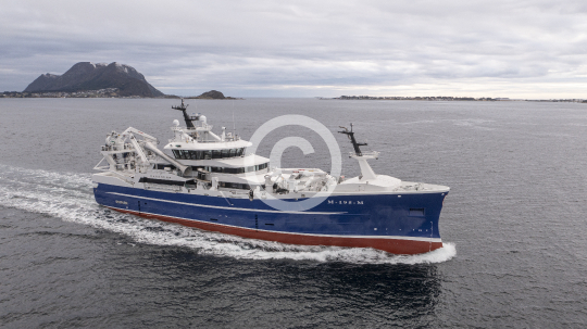 Havsnurp 393