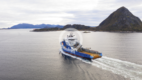 Horizon Arctic 431