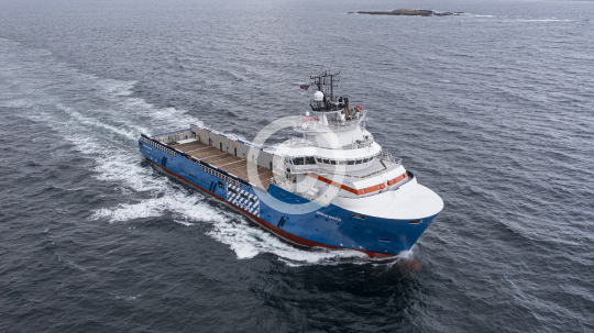 Horizon Dragon 299