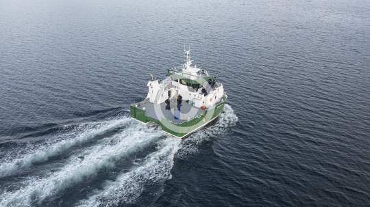 Hybrid Three 32