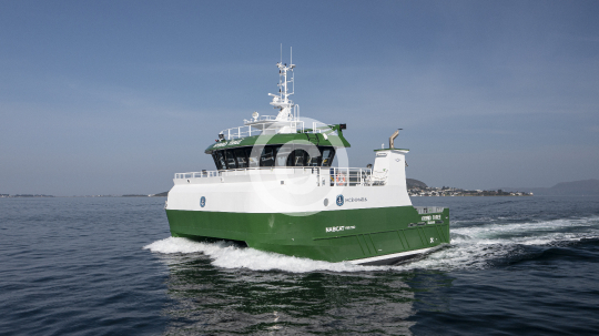 Hybrid Three 979