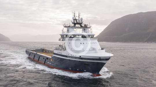 Island Chieftain 292