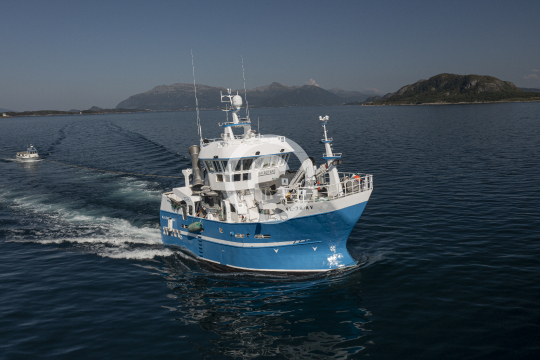 Kalsøybas 883