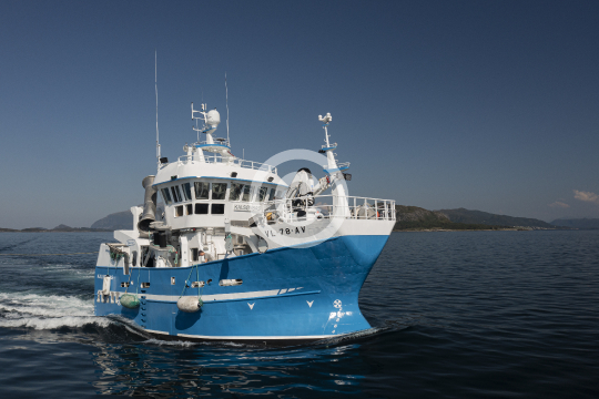 Kalsøybas 891