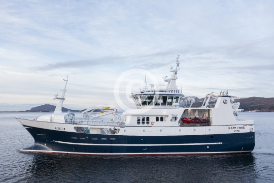 Kapp Linne 154