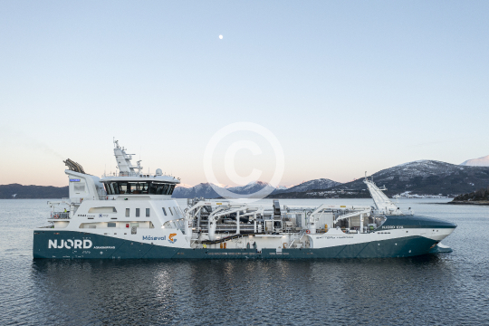Njord Kya 495