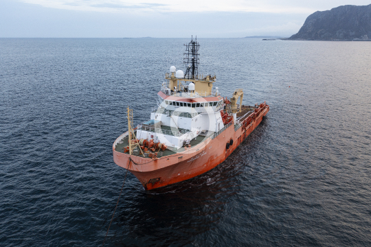 Normand Borg 703