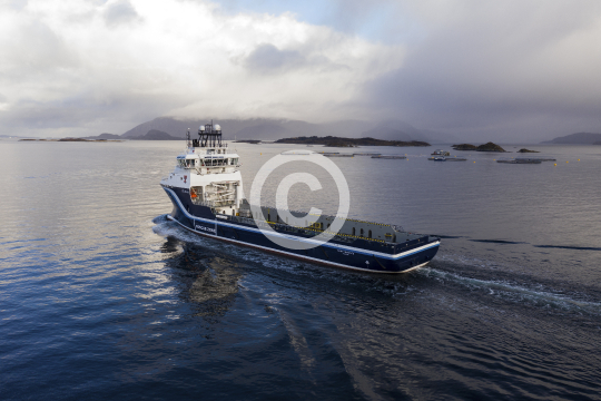 North Barents 927