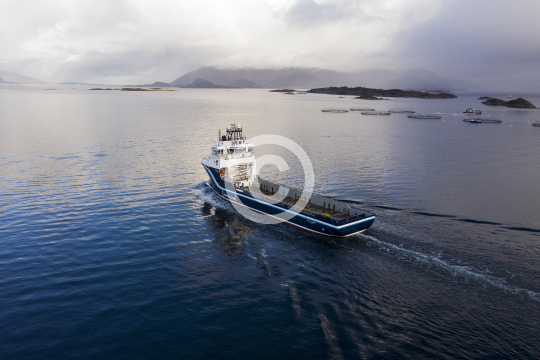 North Barents 928