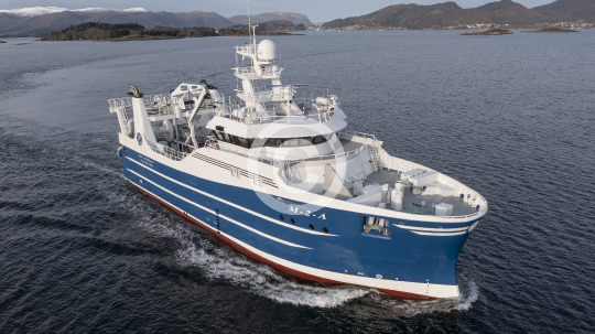 Polarbris 334