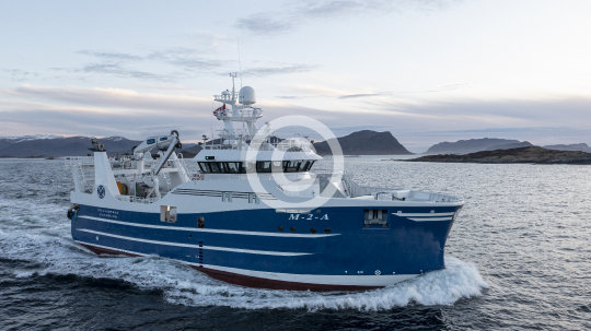 Polarbris 495