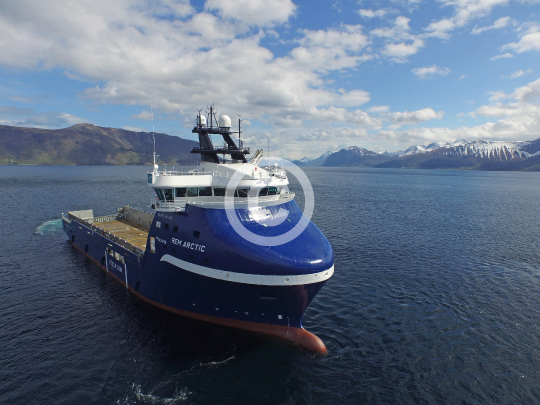 Rem Arctic 323