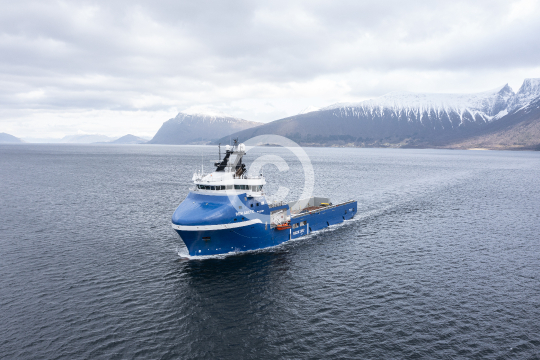 Rem Arctic 652