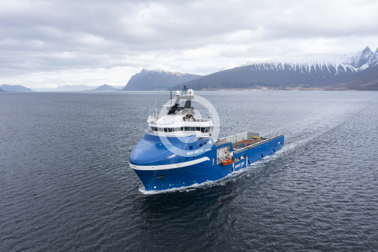 Rem Arctic 662
