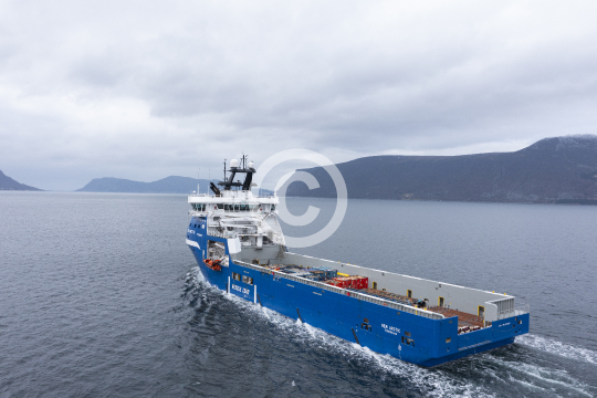Rem Arctic 668