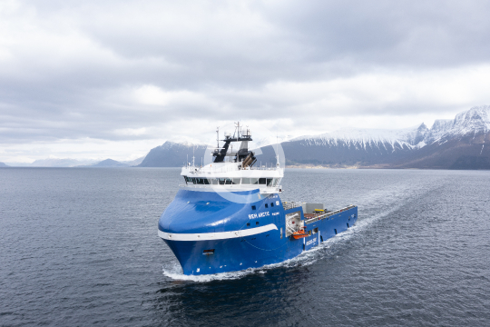 Rem Arctic 673