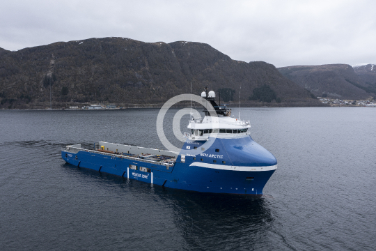 Rem Arctic 706