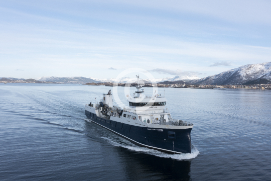 Ronja Fjord 428