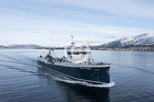 Ronja Fjord 429