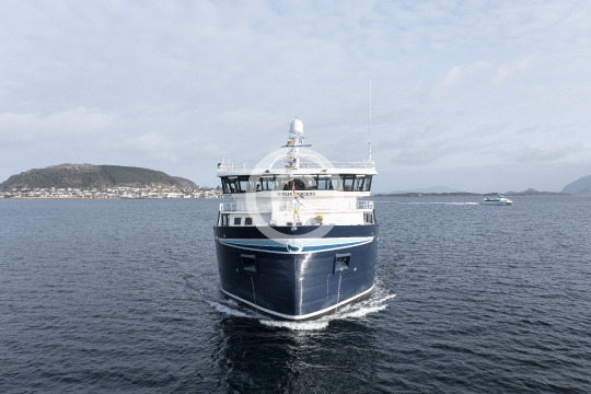 Ronja Princess 245