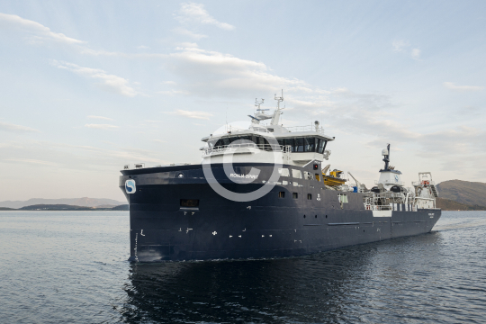 Ronja Spirit 734