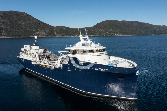 Ronja Star 579