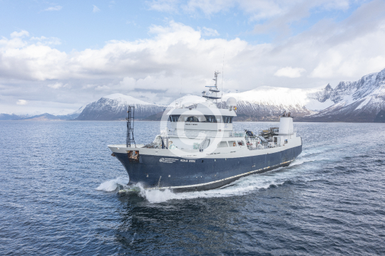 Ronja Viking 101