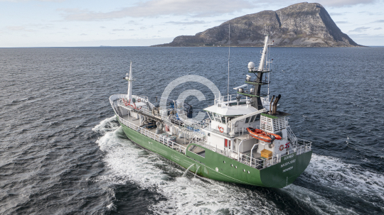 Scanbio Haugfjord 381