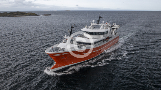 Sille Marie 507