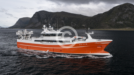 Sille Marie 513