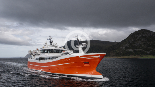 Sille Marie 521