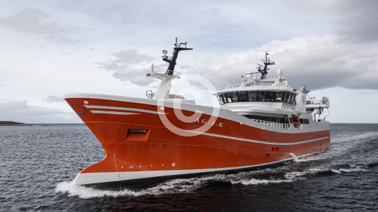Sille Marie 524