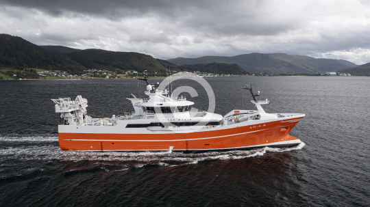 Sille Marie 529