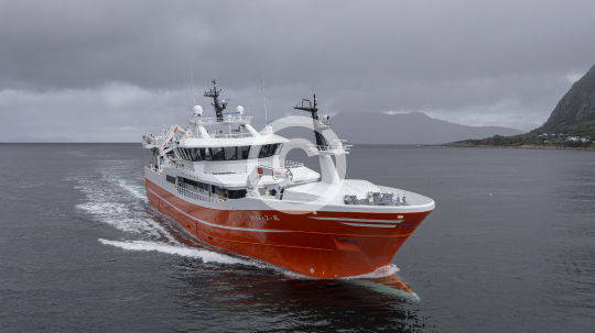 Sille Marie 84