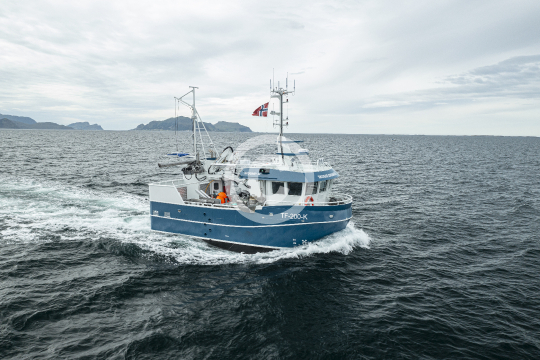 Skogsfjordingen 889