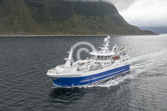 Skår Senior 405