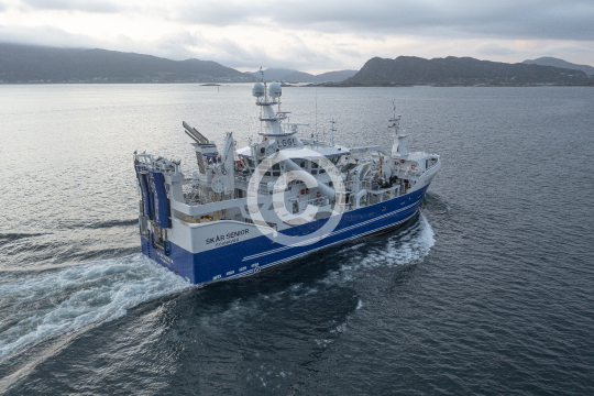 Skår Senior 900