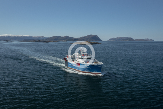 Stødig 368