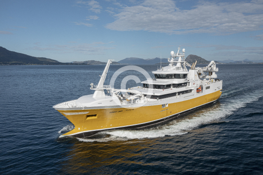 Sunny Lady 756