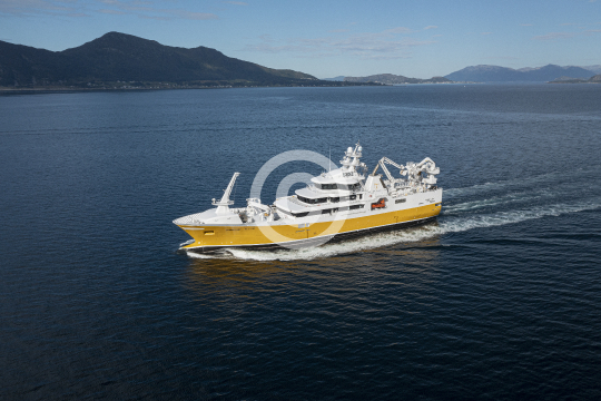 Sunny Lady 759