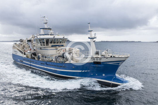 Trønderhav 500